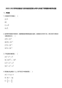 2022-2023學(xué)年安徽省六安市裕安區(qū)第九中學(xué)七年級下學(xué)期期中數(shù)學(xué)試題