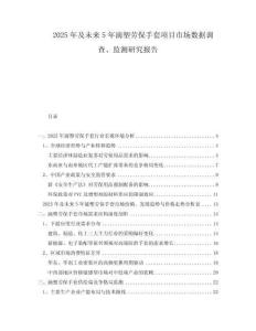2025年及未來5年滴塑勞保手套項目市場數(shù)據(jù)調(diào)查、監(jiān)測研究報告