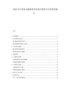 2025年中國(guó)多功能粘性紗布項(xiàng)目投資可行性研究報(bào)告