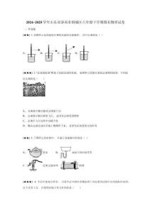 2024~2025學(xué)年山東省濟(jì)南市鋼城區(qū)八年級下學(xué)期期末物理試卷