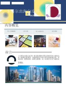 卡塔爾出海白皮書 2025