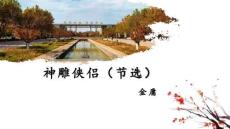 中國文學經典名篇鑒賞 課件 7-6《神雕俠侶》（節選）