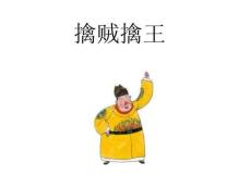 三十六計(jì)——擒賊擒王