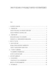 2025年及未來5年電動起立床項目可行性研究報告