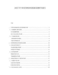 2025年中國雙筆噴砂機數據監(jiān)測研究報告