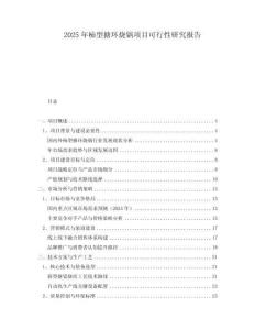 2025年柿型搪環(huán)燒鍋項目可行性研究報告