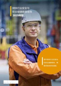 2025年版鋼鐵行業(yè)安全與職業(yè)健康數(shù)據(jù)報告