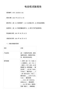 電動(dòng)機(jī)試驗(yàn)報(bào)告