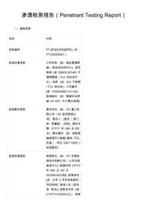 渗透检测报告（Penetrant Testing Report）