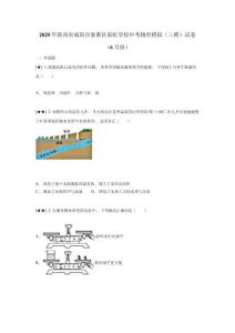 2025年陜西省咸陽市秦都區(qū)彩虹學(xué)校中考物理模擬（三模）試卷（6月份）
