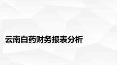 云南白藥財務報表分析PPT課件