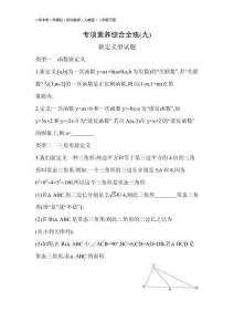 09-專項(xiàng)素養(yǎng)綜合全練(九)