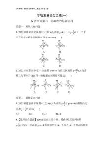 01-專項(xiàng)素養(yǎng)綜合全練(一)(2)