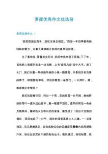 賞荷優(yōu)秀作文優(yōu)選份