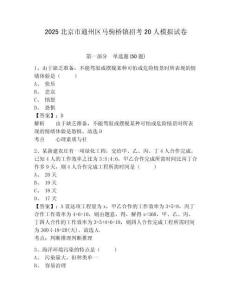 2025北京市通州區(qū)馬駒橋鎮(zhèn)招考20人模擬試卷精選答案詳解