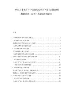 2025及未來5年中國錦綸棕絲篩網(wǎng)市場現(xiàn)狀分析（數(shù)據(jù)調(diào)查、監(jiān)測）及前景探究報告