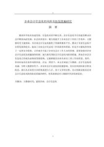 企業(yè)會(huì)計(jì)信息化的風(fēng)險(xiǎn)及防范措施研究