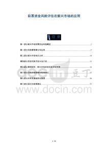 彩票資金風(fēng)險(xiǎn)評(píng)估在新興市場(chǎng)的應(yīng)用-洞察與解讀