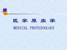 医学课件溶组织内阿米巴