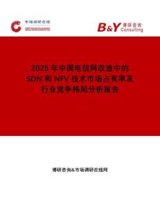 2025年中國電信網(wǎng)改造中的SDN和NFV技術(shù)市場占有率及行業(yè)競爭格局分析報告