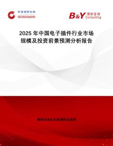 2025年中國(guó)電子插件行業(yè)市場(chǎng)規(guī)模及投資前景預(yù)測(cè)分析報(bào)告