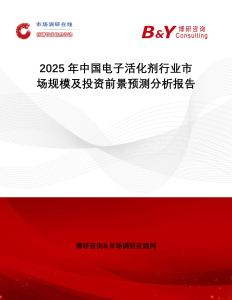 2025年中國電子活化劑行業(yè)市場規(guī)模及投資前景預(yù)測分析報告