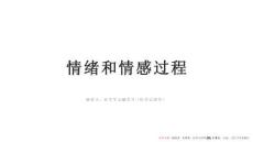 情緒和情感過程