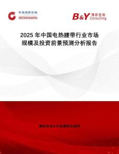 2025年中國電熱腰帶行業市場規模及投資前景預測分析報告