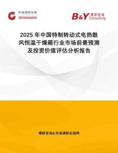 2025年中國特制轉動式電熱鼓風恒溫干燥箱行業市場前景預測及投資價值評估分析報告