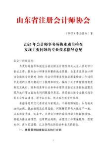 （2025）魯會協(xié)專1號2024年會計師事務(wù)所執(zhí)業(yè)質(zhì)量檢查發(fā)現(xiàn)主要問題的專業(yè)技術(shù)指導(dǎo)意見