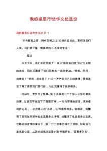 我的感恩行動作文優(yōu)選份