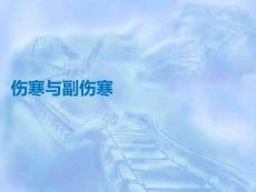 伤寒与副伤寒PPT课件