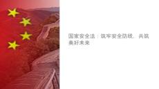 國家安全法課件
