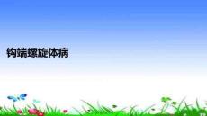 鉤端螺旋體病PPT課件