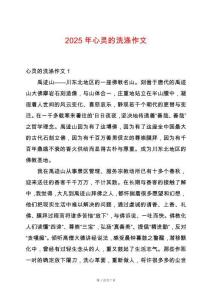 2025年心靈的洗滌作文