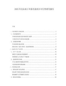 2025年及未來5年滌毛毯項目可行性研究報告