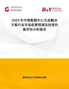 2025年中國數據中心互連解決方案行業市場前景預測及投資價值評估分析報告
