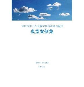 2024昆明市中小企業(yè)數(shù)字化轉(zhuǎn)型試點城市典型案例集