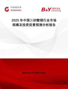 2025年中國三矽酸鎂行業市場規模及投資前景預測分析報告