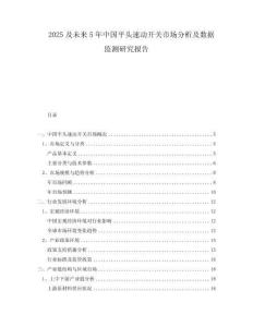 2025及未來5年中國平頭速動開關市場分析及數據監(jiān)測研究報告