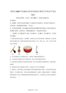 2025年四川資陽中考物理試題真題及答案詳解（精校打印版）