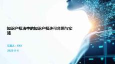 知識產權法中的知識產權許可合同與實施