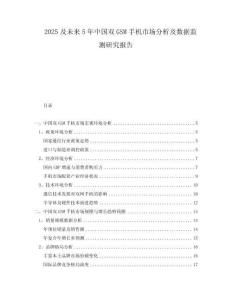 2025及未來5年中國(guó)雙GSM手機(jī)市場(chǎng)分析及數(shù)據(jù)監(jiān)測(cè)研究報(bào)告