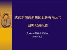 东湖高新报告资料合集