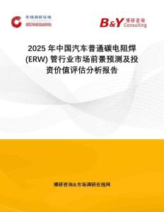 2025年中國汽車普通碳電阻焊 (ERW) 管行業(yè)市場前景預(yù)測及投資價值評估分析報告