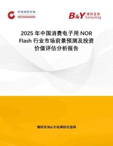 2025年中國消費電子用NOR Flash行業市場前景預測及投資價值評估分析報告
