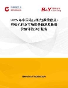 2025年中國液壓擺式(數控數顯)剪板機行業市場前景預測及投資價值評估分析報告