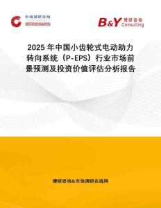2025年中國小齒輪式電動助力轉(zhuǎn)向系統(tǒng)（P-EPS）行業(yè)市場前景預測及投資價值評估分析報告