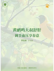 養(yǎng)生閣：1-113黃鸝鳴大叔舒肝：調節(jié)血壓享春意
