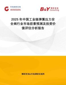 2025年中國工業(yè)級彈簧壓力安全閥行業(yè)市場前景預(yù)測及投資價值評估分析報告